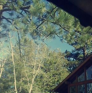 Meet your Posher, Kati